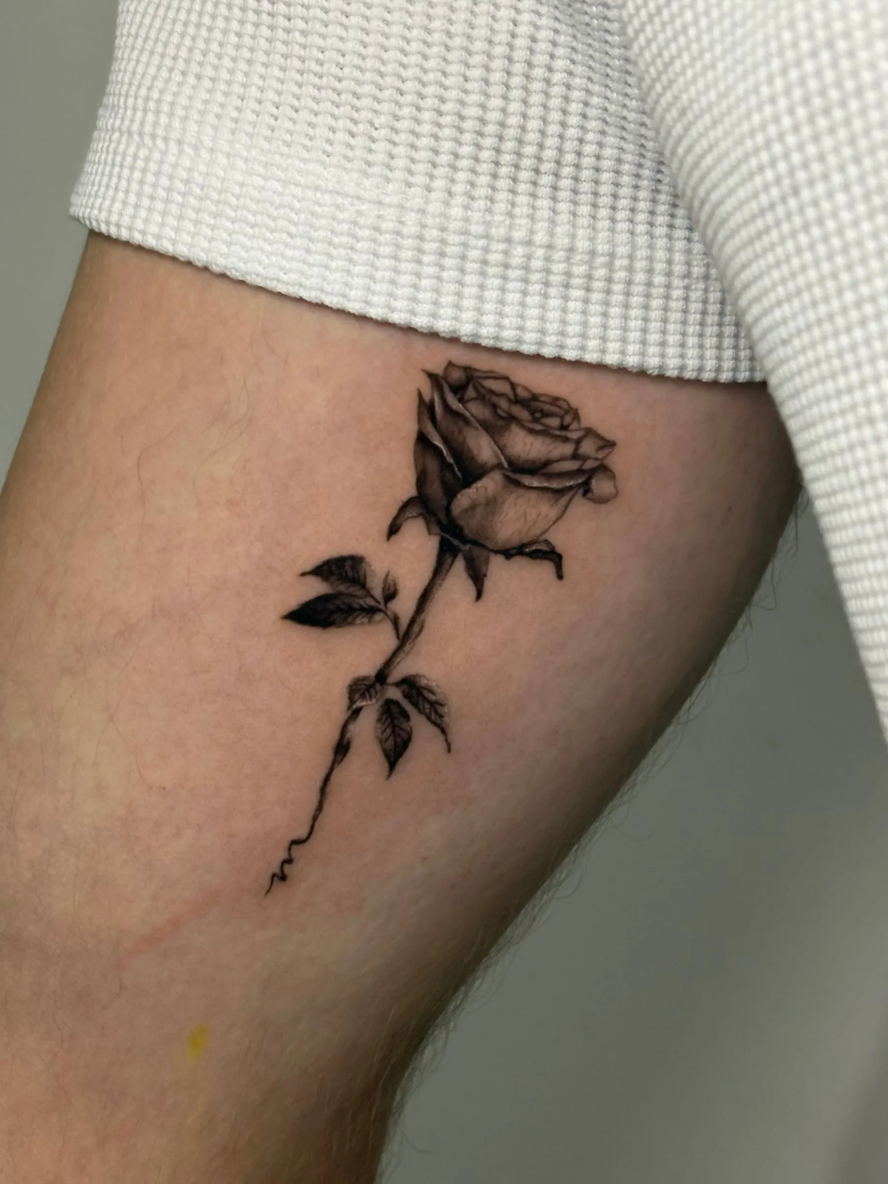 Rosa realista en negro y gris con tallo y hojas, en el brazo