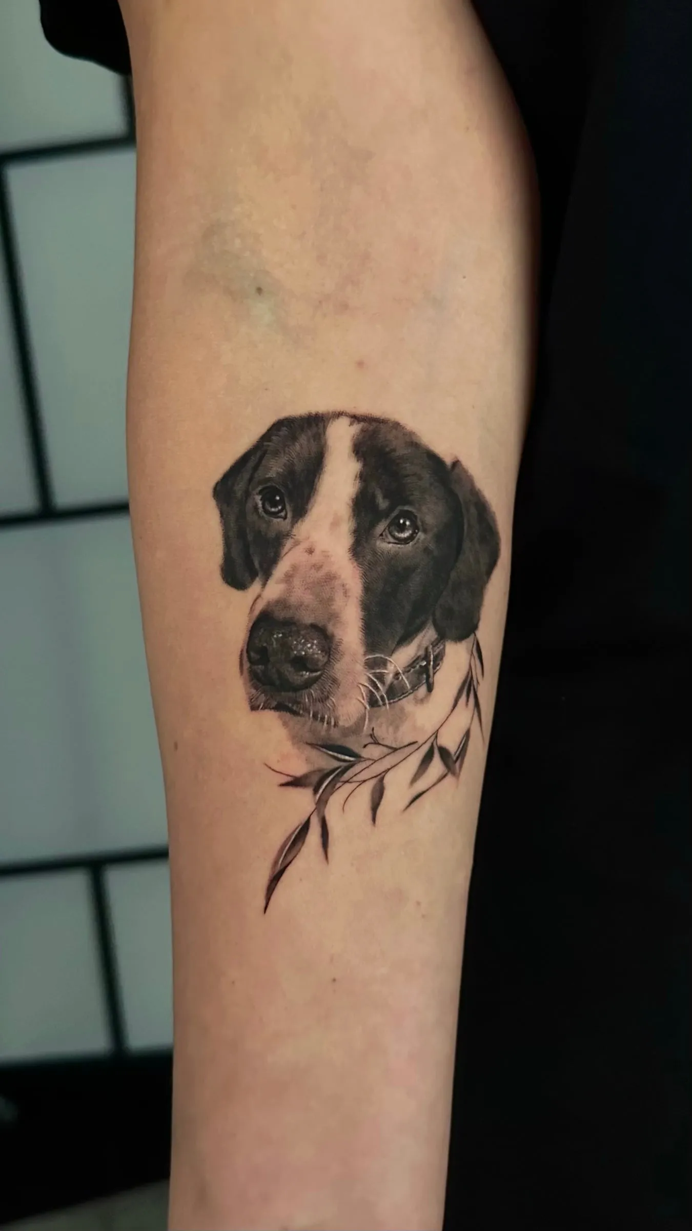 Retrato realista en negro y gris de un perro blanco y negro con collar y una rama de hojas finas, en el antebrazo