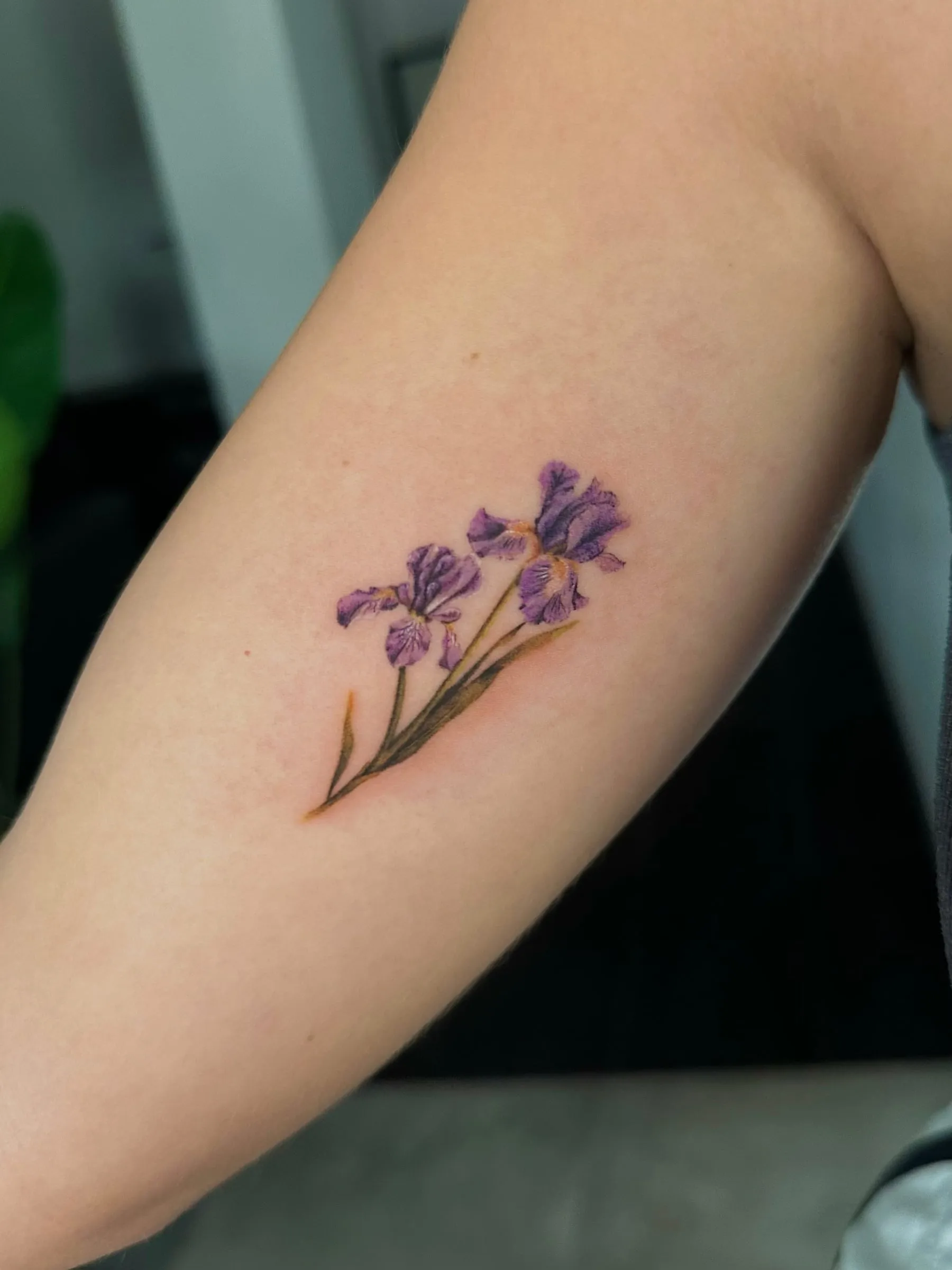 Dos flores de iris moradas a color con tallos finos, en la cara interna del brazo